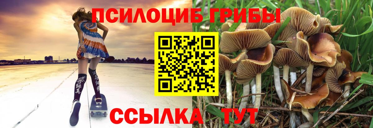 Псилоцибиновые грибы прущие грибы Городец