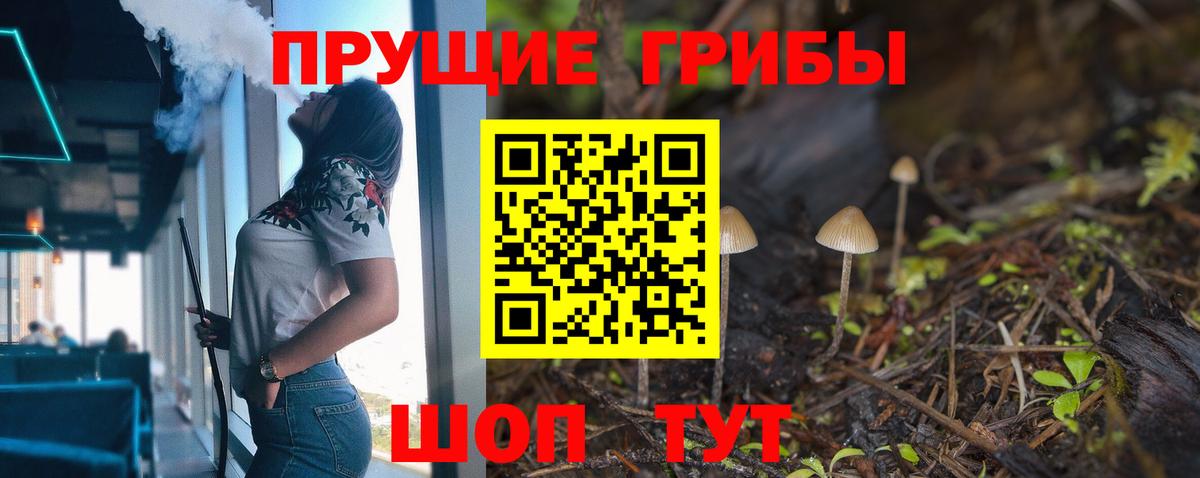 Галлюциногенные грибы прущие грибы  Псилоцибиновые грибы прущие грибы  Вход с VPN  Городец 